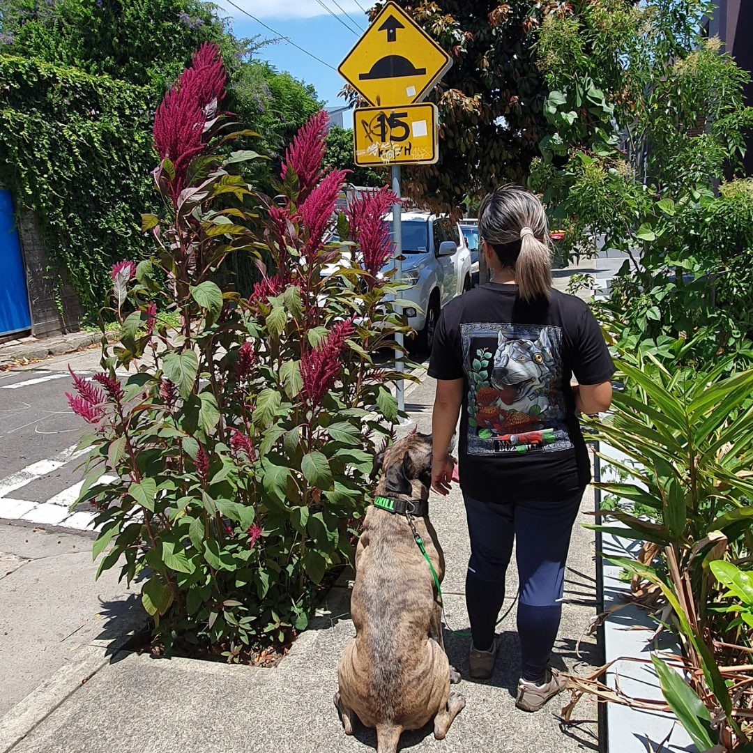 Canine (Cyborg Edition) Tshirt (Limited Release)